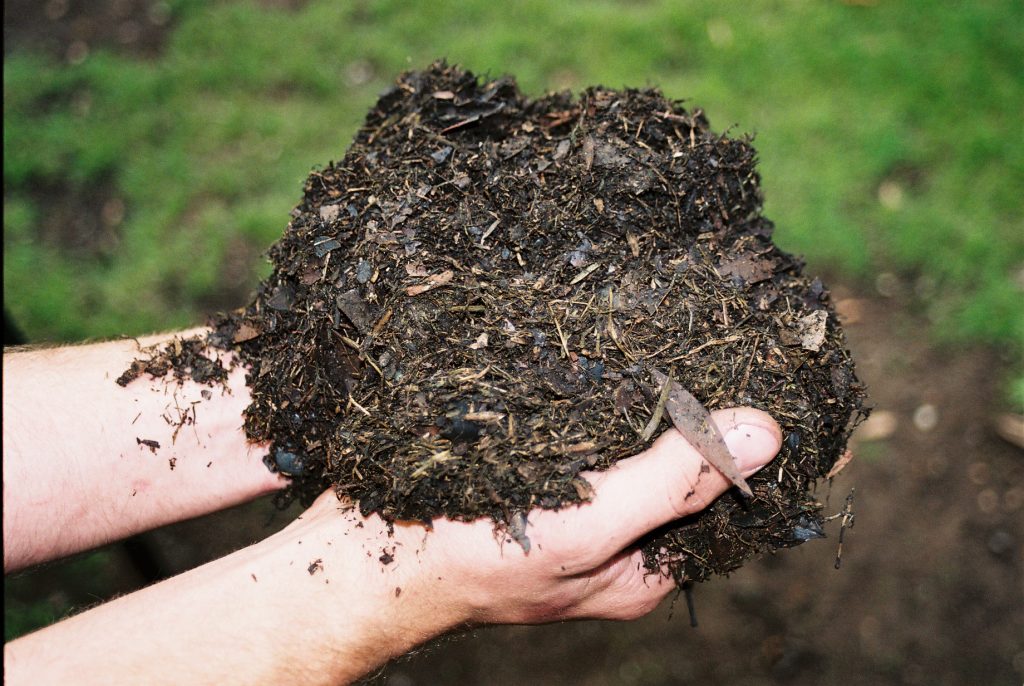 How to make compost step by step